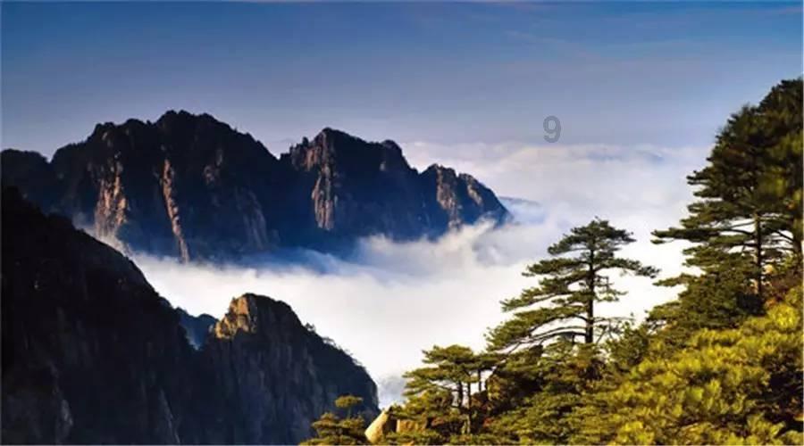 探索世界的请问这种砖墙用的是什么砖 可以在墙上挂多重的东西啊?蜗牛问答平台